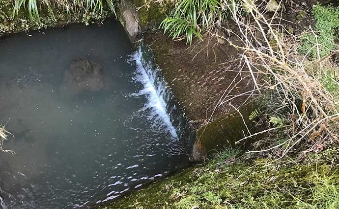 淡水小物釣りでタカハヤ入れ食い堪能　雨天後タイミング狙いが的中？