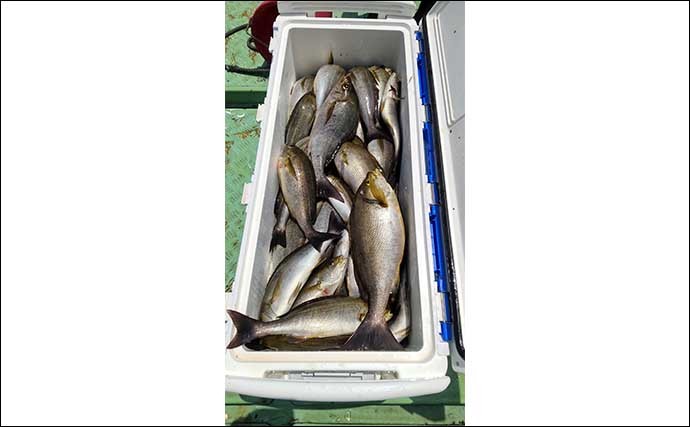 今週の『船釣り情報』特選釣果　九州の腹パン梅雨イサキが最盛期へ