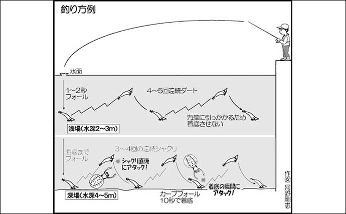 エギング徹底入門　【アオリイカ・コウイカ・ツツイカ対象毎に解説】