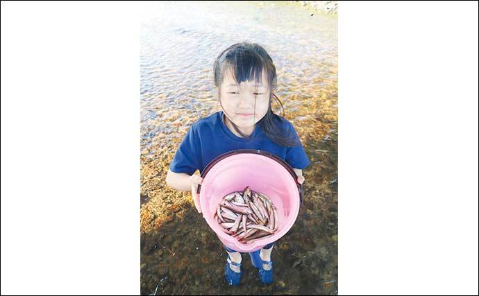 夏の風物詩の小アユ釣りで96匹　まだまだ不調も拾い釣りで今後に期待