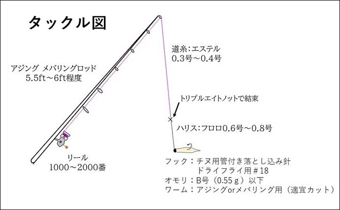 堤防ライトルアー釣りで『アブシン』を狙う方法　釣り味も食味も吉