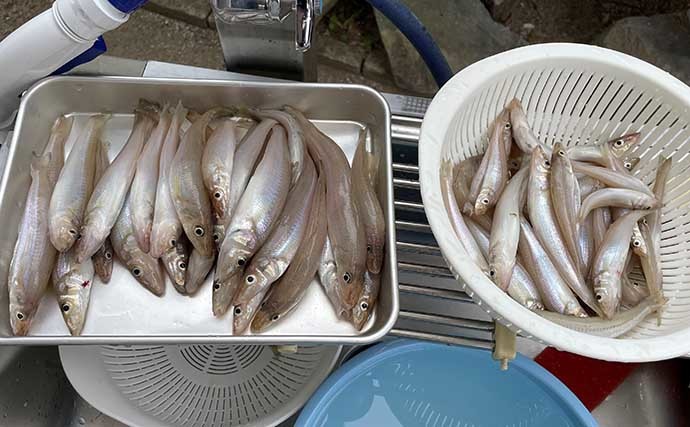 サーフ投げキス釣りで21cm頭に80匹　空撮画像でポイントを解説【福井】