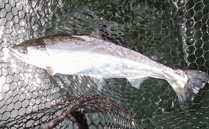 芦ノ湖のボートフライフィッシング　解禁から3月中旬までの釣況を紹介