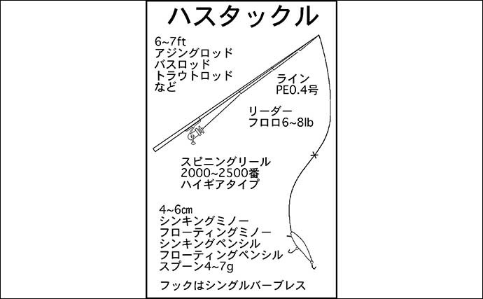 『ハスフィッシング』入門　ブラックバスに負けないゲーム性【琵琶湖】