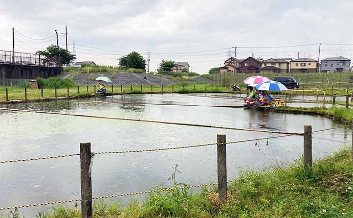 今週のヘラブナ推薦釣り場【埼玉・吉川運動公園】