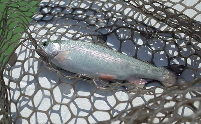 初めての「管理釣り場」　【前日準備・当日の流れを徹底解説】