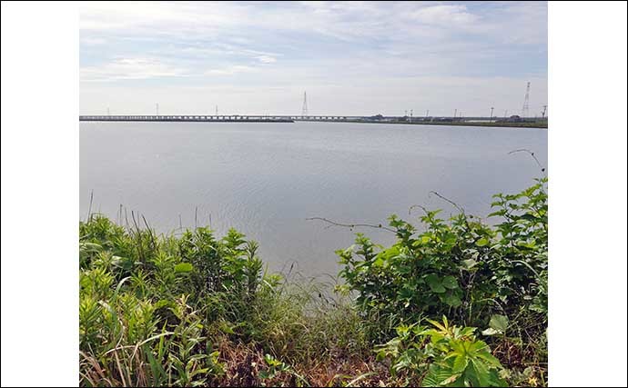 今週のヘラブナ推薦釣り場【千葉県・磯山ワンド】