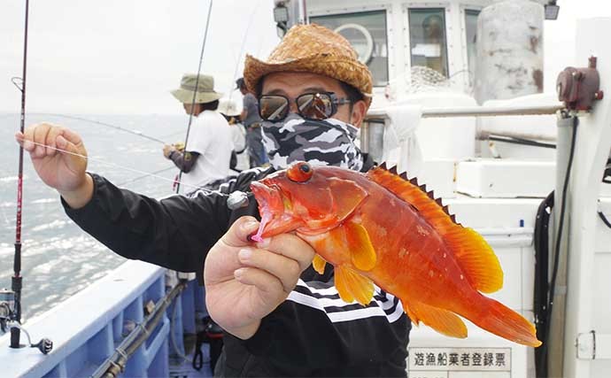 外房の船根魚釣りでカサゴにアカハタ　常温保存可能な生エサが秘訣？