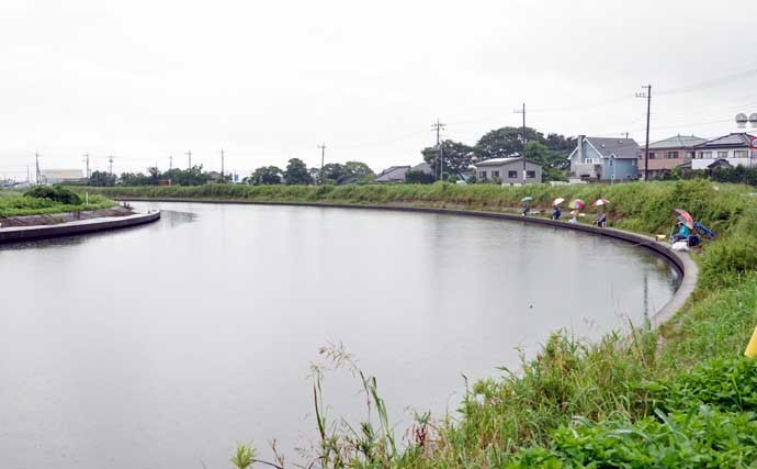 今週のヘラブナ推薦釣り場【茨城県・横利根川】