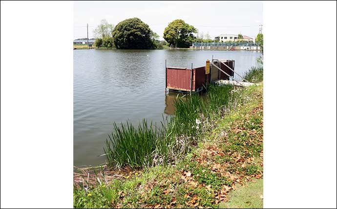 今週のヘラブナ推薦釣り場【千葉県・道の口沼】