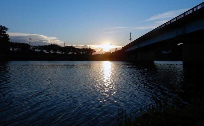 夕マヅメの淡水小物釣りでタナゴ中心に快釣　釣果アップ3つのコツとは？