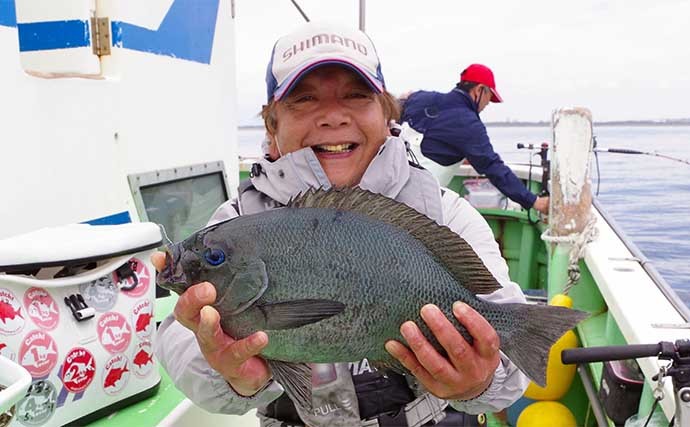 相模湾タイ五目釣りで多彩魚種　マダイ他クロダイにメジナにイシダイ