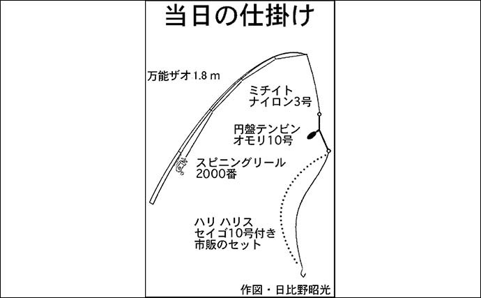 堤防での夜釣りで本命アナゴ12匹手中　ふ頭の真下狙いが的中