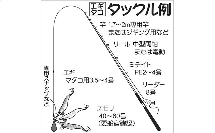 外房大原でエギタコ絶好調　基本の釣り方と持ち帰り方を解説【千葉】