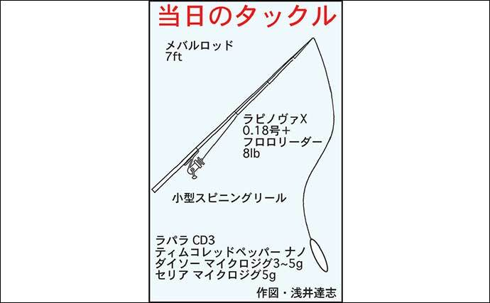 メッキゲームで本命ギンガメアジ　100均ルアーでオオモンハタもヒット