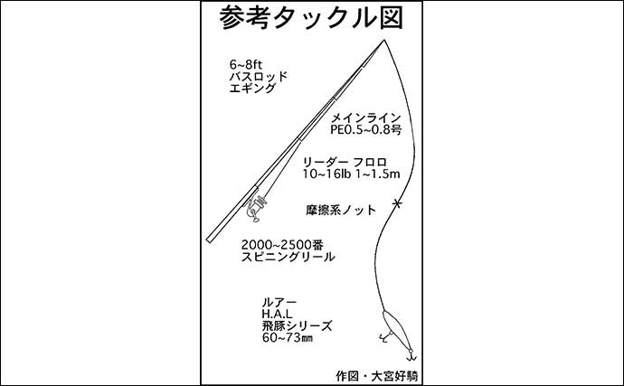 クロダイ『トップゲーム』入門　夏のデイゲームに好適【2021中部】