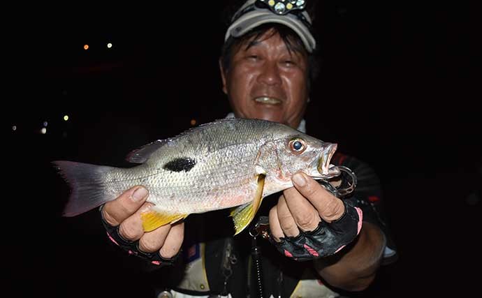 夜の地磯でモンスターハンティング　『釣りドコ』使って住処を直撃