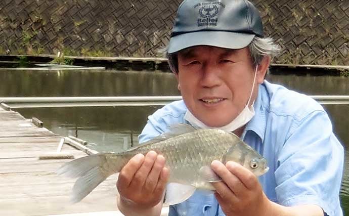 夏ベラ高活性で引き強烈　尺上ばかりヘラブナ25匹【大阪・FC竹の内】