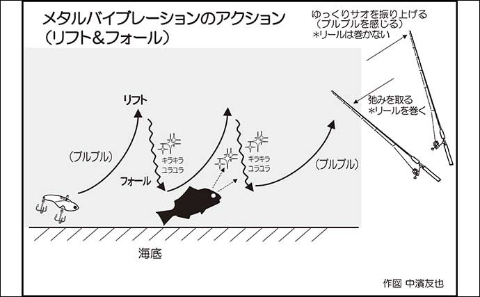 チニングで50cmクロダイ手中　メタルバイブのリフト＆フォールにヒット