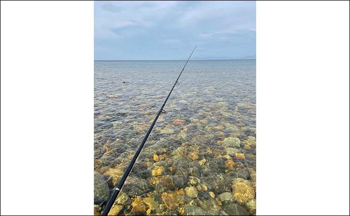 陸っぱりエギング釣行で500gアオリイカ　夏期は海水温がキモ？