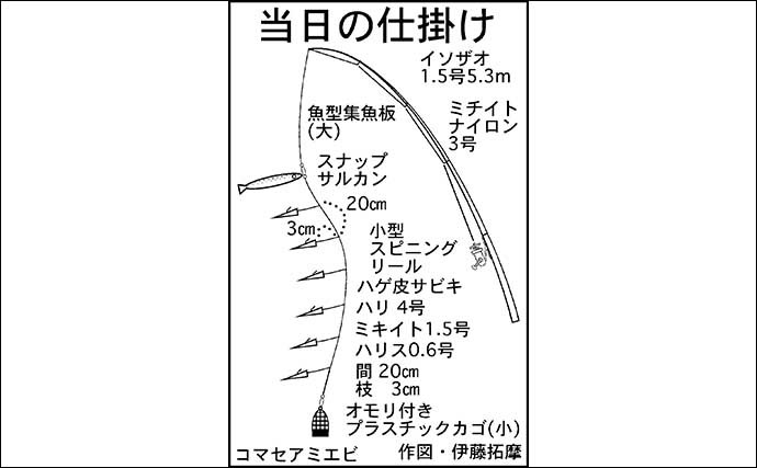 早朝の短時間サビキ釣りで４魚種キャッチ【三重・白子漁港釣り桟橋】