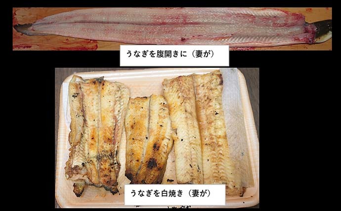 ブッコミ釣りで63cmウナギ　冷凍カメジャコエサにヒット【三重・揖斐川】