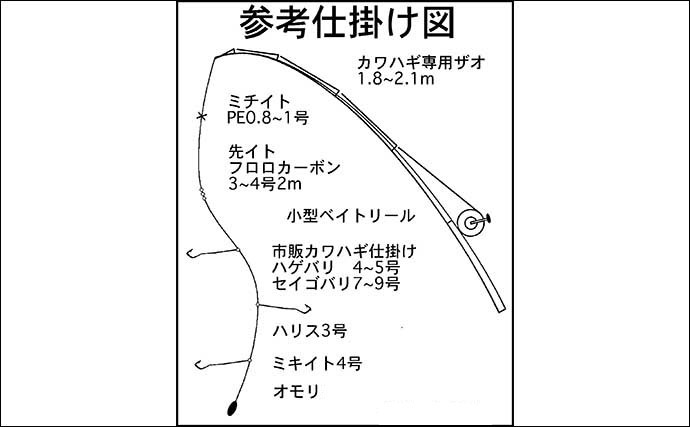 船カワハギ釣り入門　【初心者でも出来る誘い・アワセ方を徹底解説】