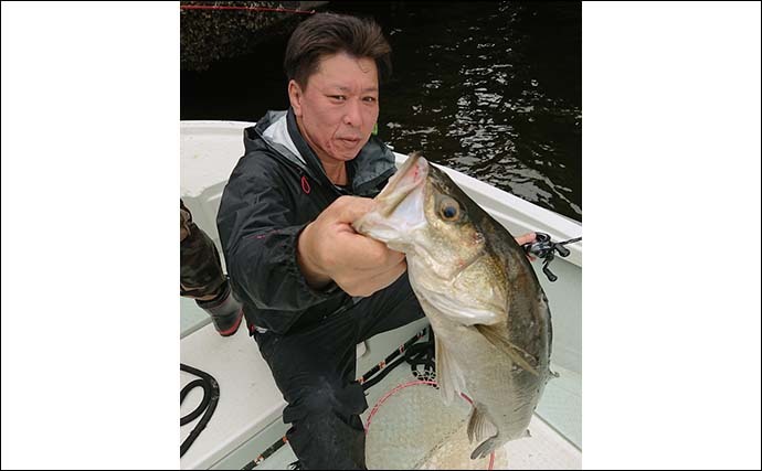 【2021東京湾】夏のシーバスジギング　落として巻くだけで釣果有望