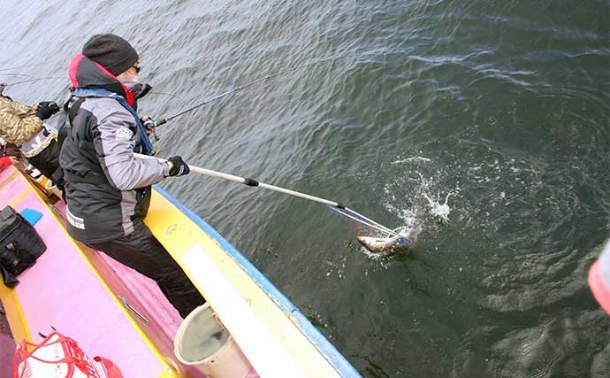 東京湾シーバスジギング終盤戦突入　タダ巻きに50cm級が入れ食い