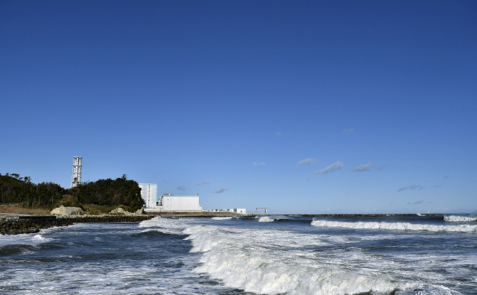 福島第一原発の「処理水」でヒラメ飼育実験を実施　風評対策の一環に？