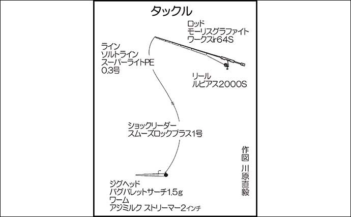 陸っぱりライトゲームでアジ＆メバル　ワームとプラグにヒット