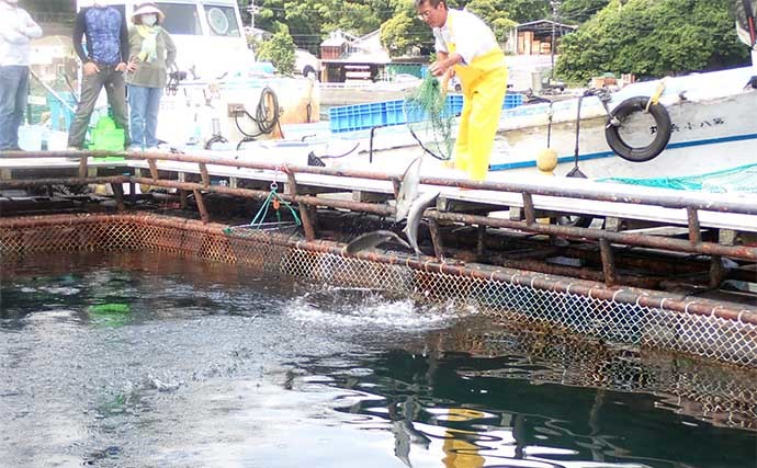 海上つり堀でシマアジに大ダイ　ウキ釣りとミャク釣り使い分けで攻略