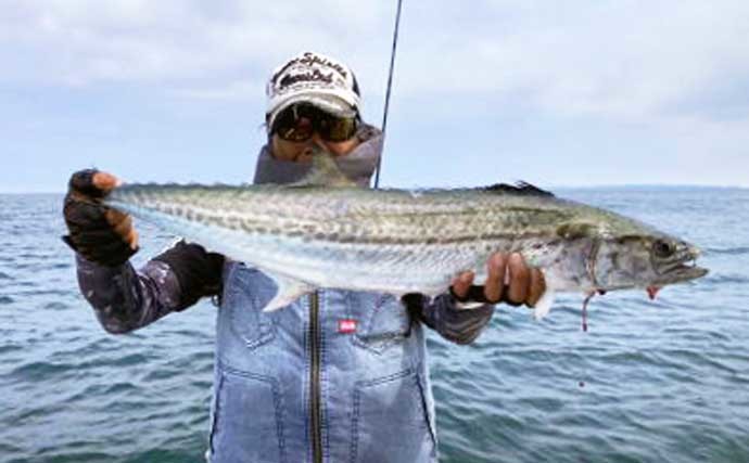 【愛知】沖釣り最新釣果　良型サワラ絶讃回遊中にマダコ好調で２桁釣果