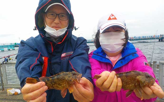 本牧海づり施設のマダコ釣りで400g級本命2匹　アジやイワシも回遊