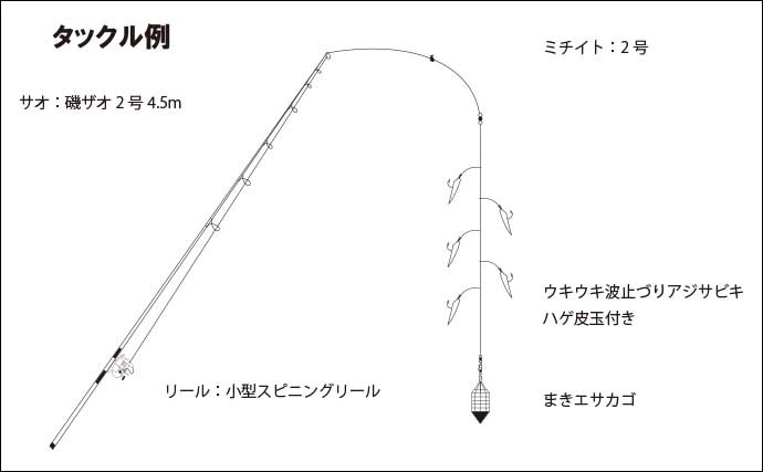 1時間の堤防サビキ釣りで小アジ50匹　夜は白色のサビキがアタリ？