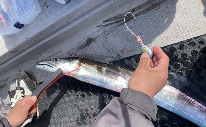 有明海の沖のタチウオ釣りで指6本級頭に14本　ジギング＆テンヤで手中