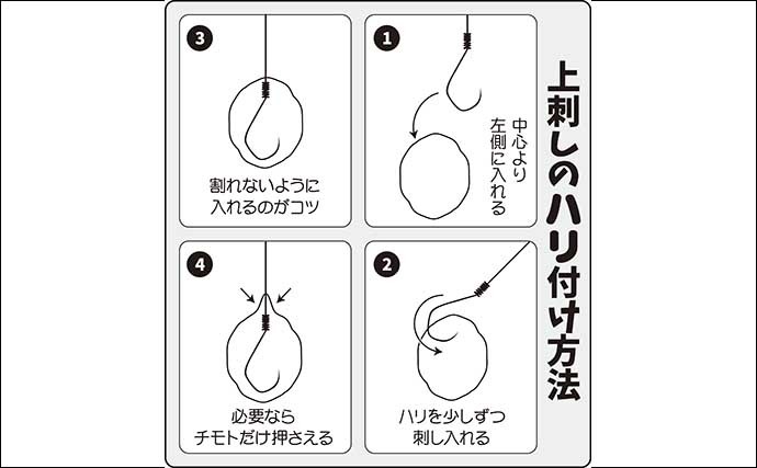 伊藤さとしのプライムフィッシング【両グルテンの底釣り：第4回】