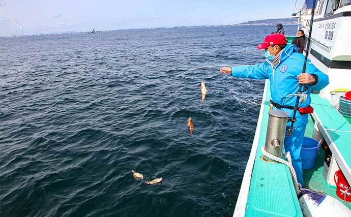 旬を迎えた浅場のオキメバル釣り　良型含みで船中多点掛け続々