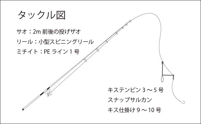 堤防キス釣り超入門　【釣具・仕掛け・投げずに釣る方法を解説】