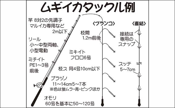 【2021関東】ムギイカ釣り入門　ブランコ＆直結仕掛けをそれぞれ解説