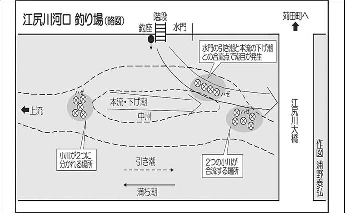 3時間の「ちょい投げ」ハゼ釣りで32尾　今後はサイズアップに期待