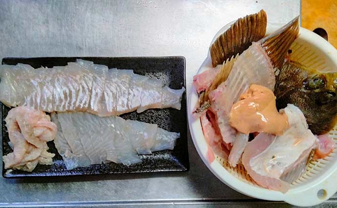 投げカレイ釣りで43cmマコガレイ堂々浮上　潮の動き始めにヒット