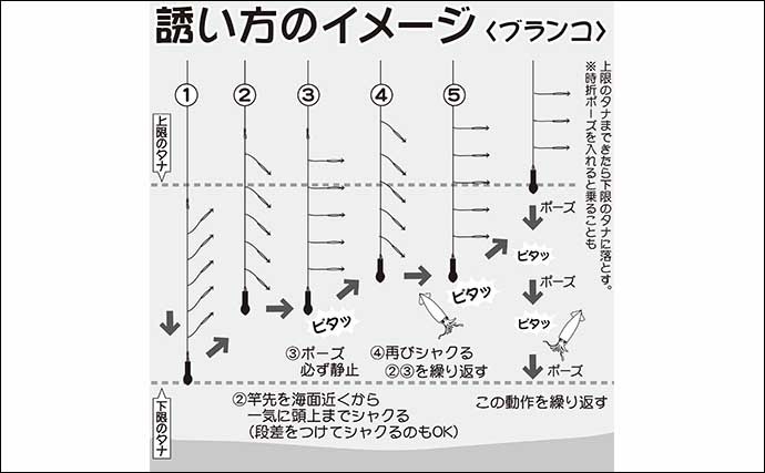 【2021関東】ムギイカ釣り入門　ブランコ＆直結仕掛けをそれぞれ解説