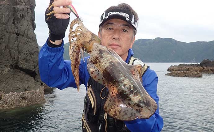 地磯エギング釣行でキロ級含めミズイカ（アオリイカ）連打の好機突入