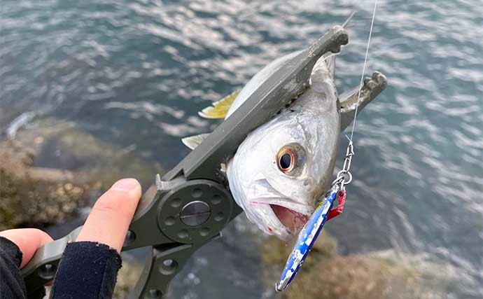 夏の海の陸っぱりルアー釣りおすすめ対象魚5選　水温高過ぎはNG？