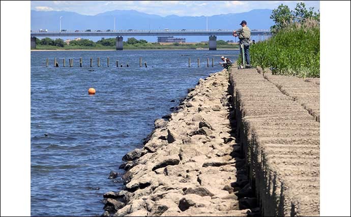 【2022年】上りマダカ釣り入門　釣り場・タックル・エサ・釣り方を解説