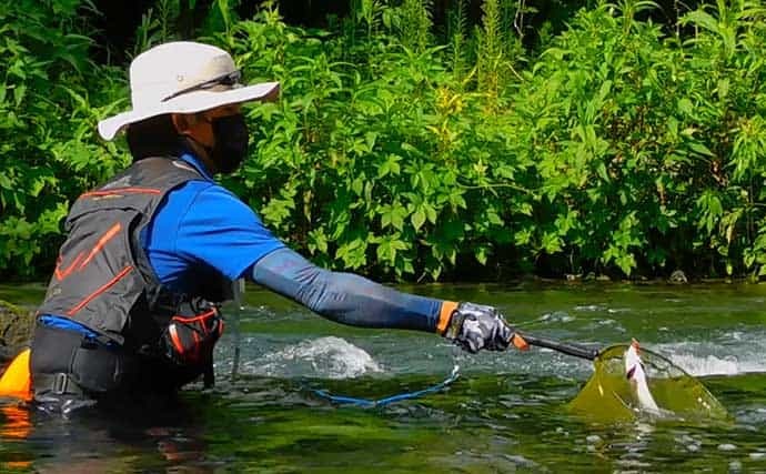 渓流釣りで美麗アマゴ快釣　安定釣果の3つのコツとは？【山梨・桂川】