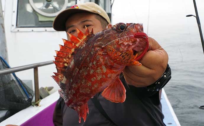 外房の船根魚釣りでカサゴにアカハタ　常温保存可能な生エサが秘訣？