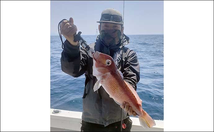 【響灘】沖釣り最新釣果　夜焚きイカはシーズン前で数伸びずも良型中心