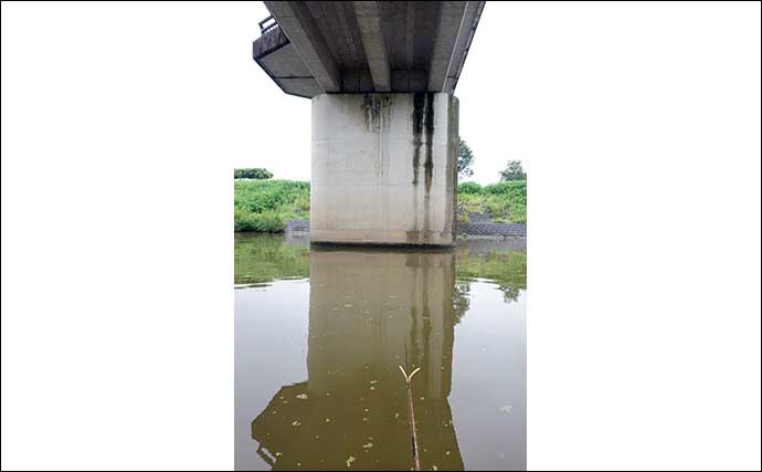 今週のヘラブナ推薦釣り場【東京都・新河岸川放水路】